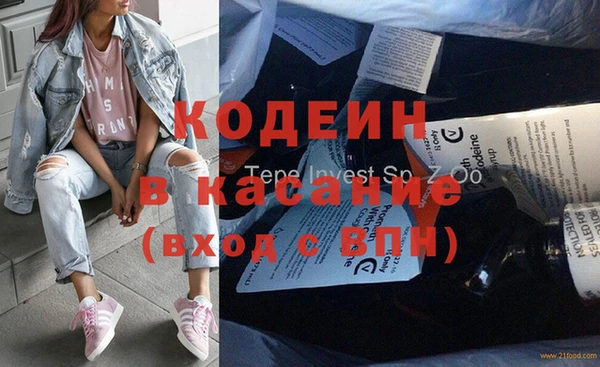 хмурый Алзамай