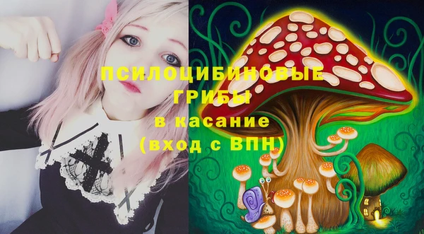 кокс Алексин