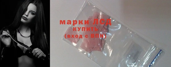 хмурый Алзамай