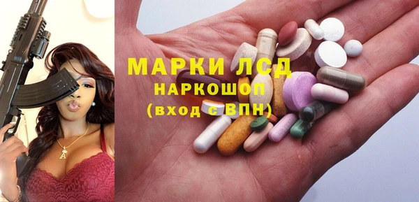 хмурый Алзамай