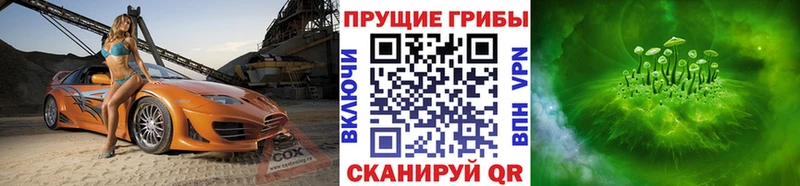 Галлюциногенные грибы Magic Shrooms  купить закладку  Краснокамск 